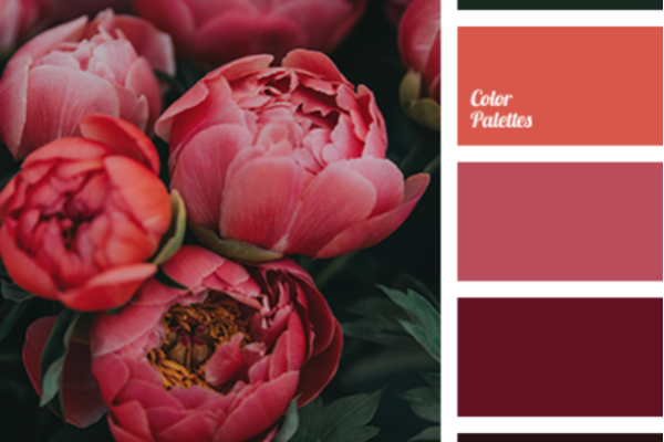 Color Palette 4098- associer le rose en décoration