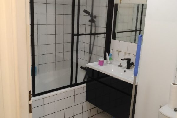 salle de bain 2 - duplex à décorer pendant